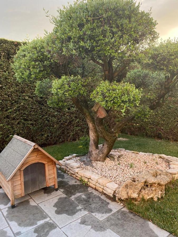 Wooden House Bed & Breakfast Montegrotto Terme Exterior photo